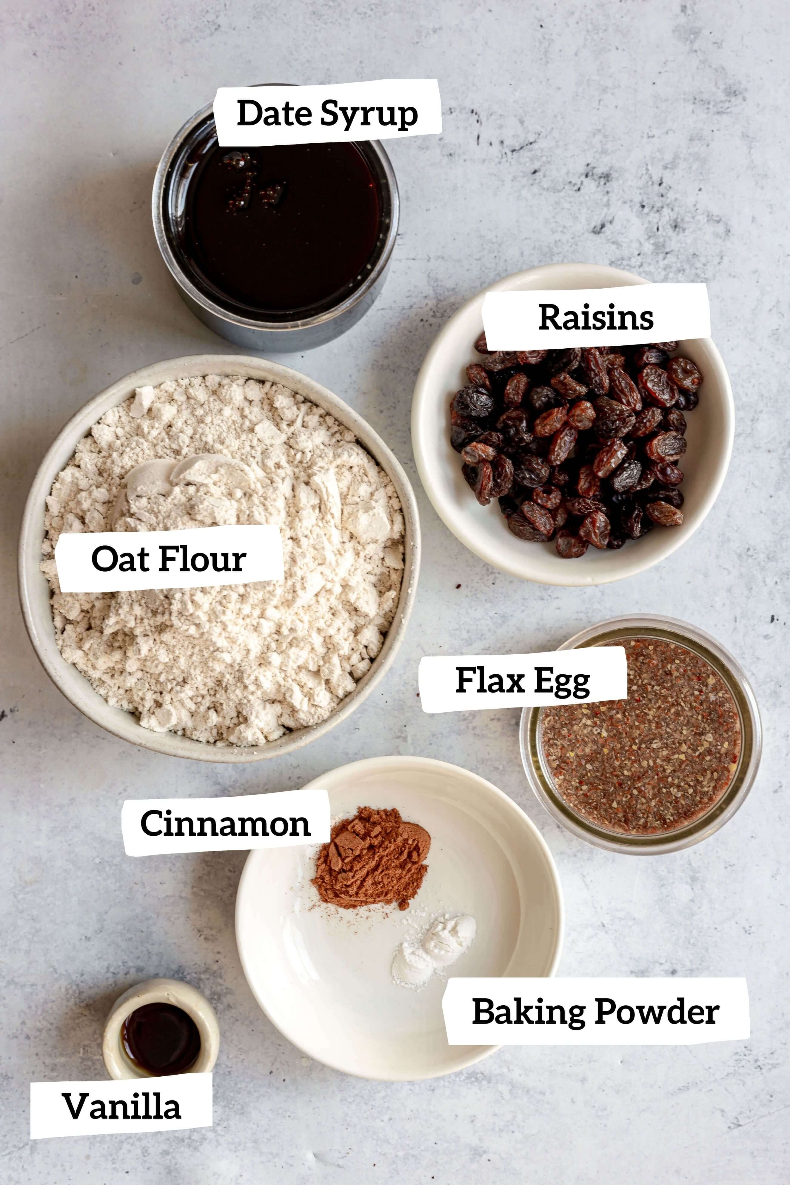 Vegan Oat Flour Cinnamon Raisin Biscotti